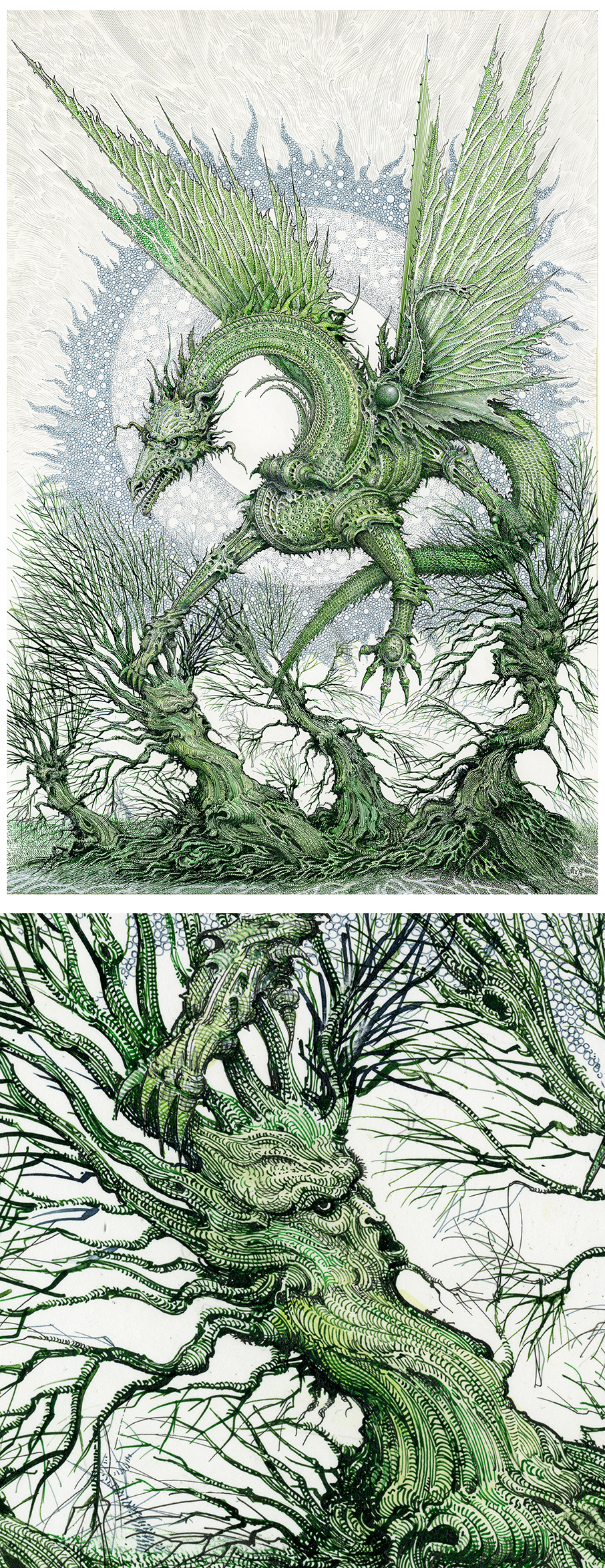 Ian Miller | Quoll, the White Dragon