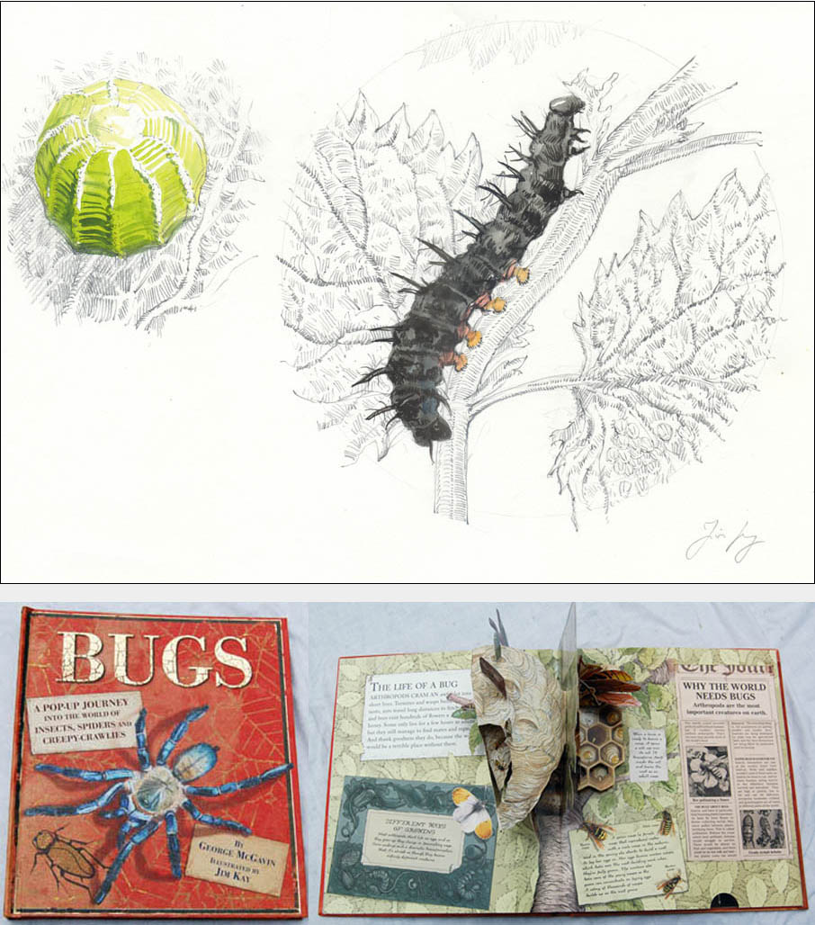Jim Kay | Bugs: Egg and caterpillar
