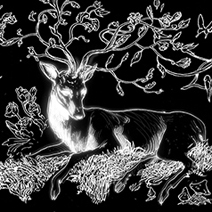 Alexis Deacon | Gucci Cosmos: The Deer