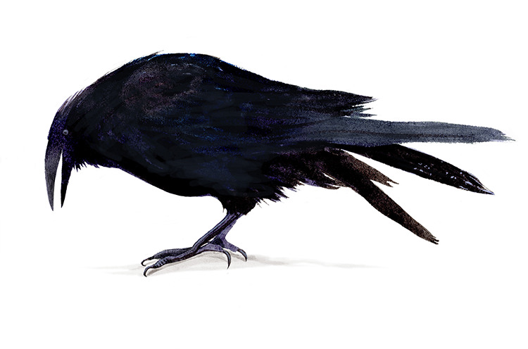 Gwen Burns | Old Songs