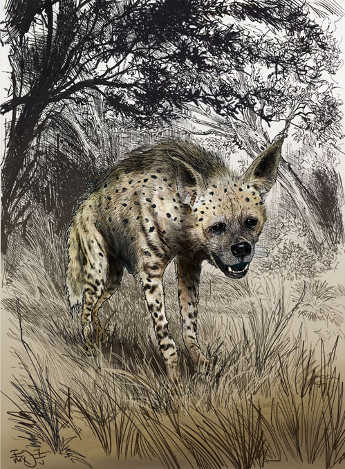 Ian Miller | Hyena 9