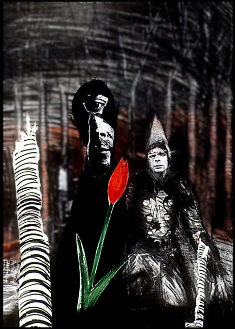 Ian Miller | Black Tulip