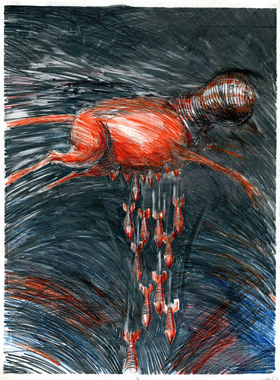 Ian Miller | Red Dog Aerial