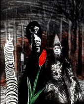 Ian Miller | Black Tulip