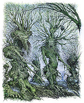 Ian Miller | Ents 2