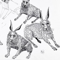 Ian Miller | Rabbits, study sheet 2