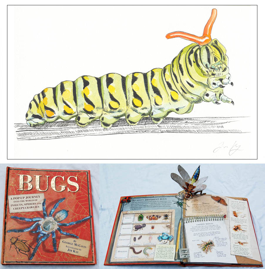 Jim Kay | Bugs: Caterpillar holding on tight