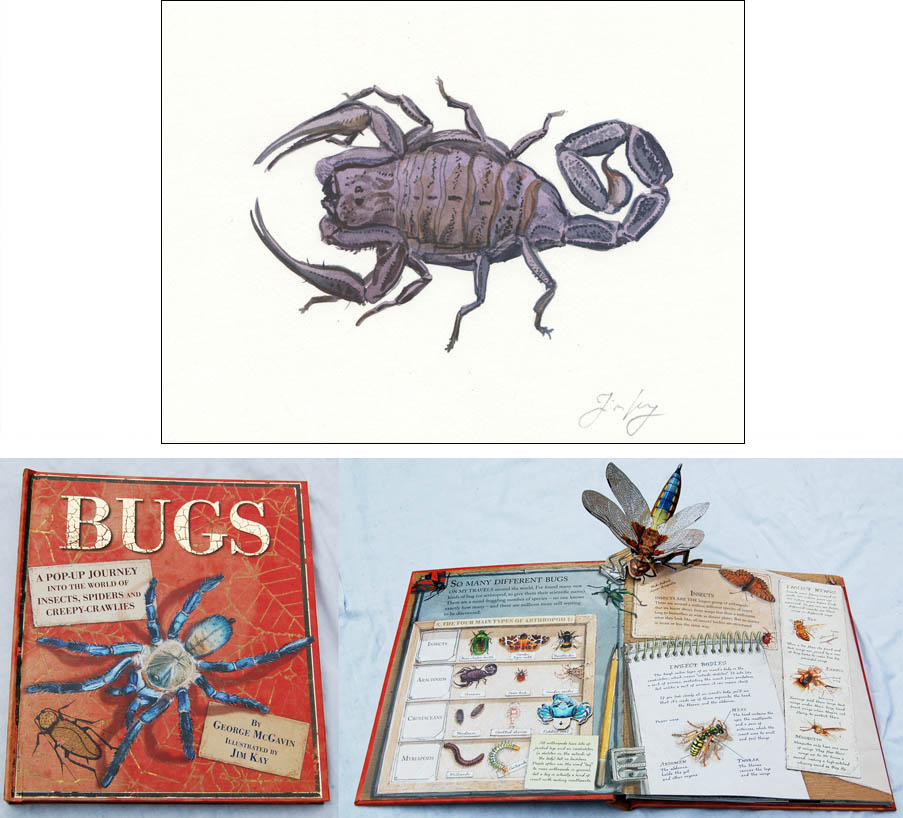 Jim Kay | Bugs: Scorpion