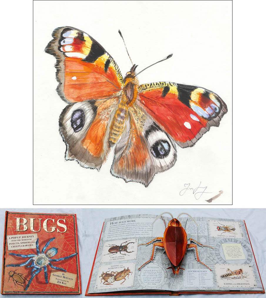 Jim Kay | Bugs: Butterfly