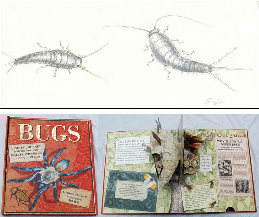 Jim Kay | Bugs: Silverfish getting bigger