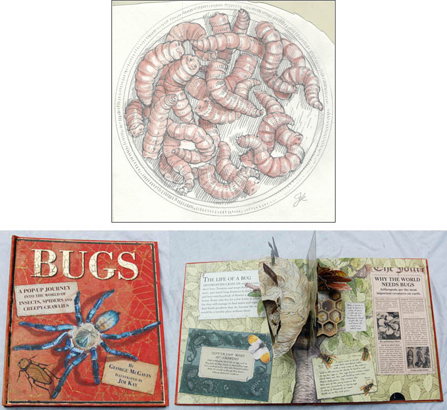 Jim Kay | Bugs: Blow fly larvae
