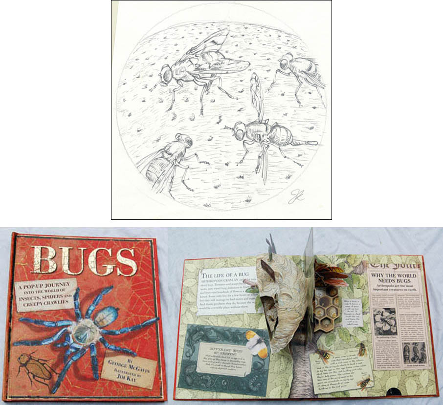 Jim Kay | Bugs: Fruit flies