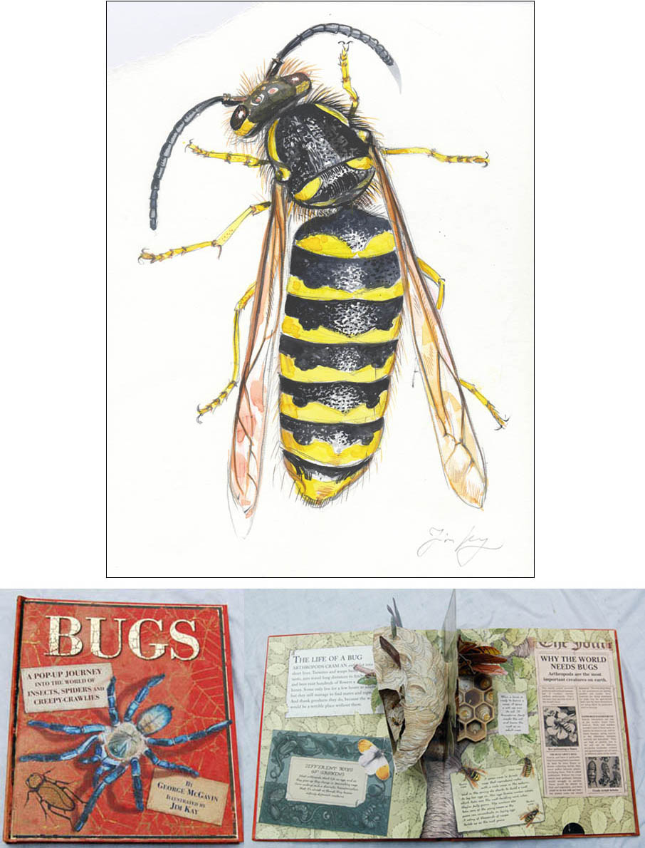 Jim Kay | Bugs: Male wasp