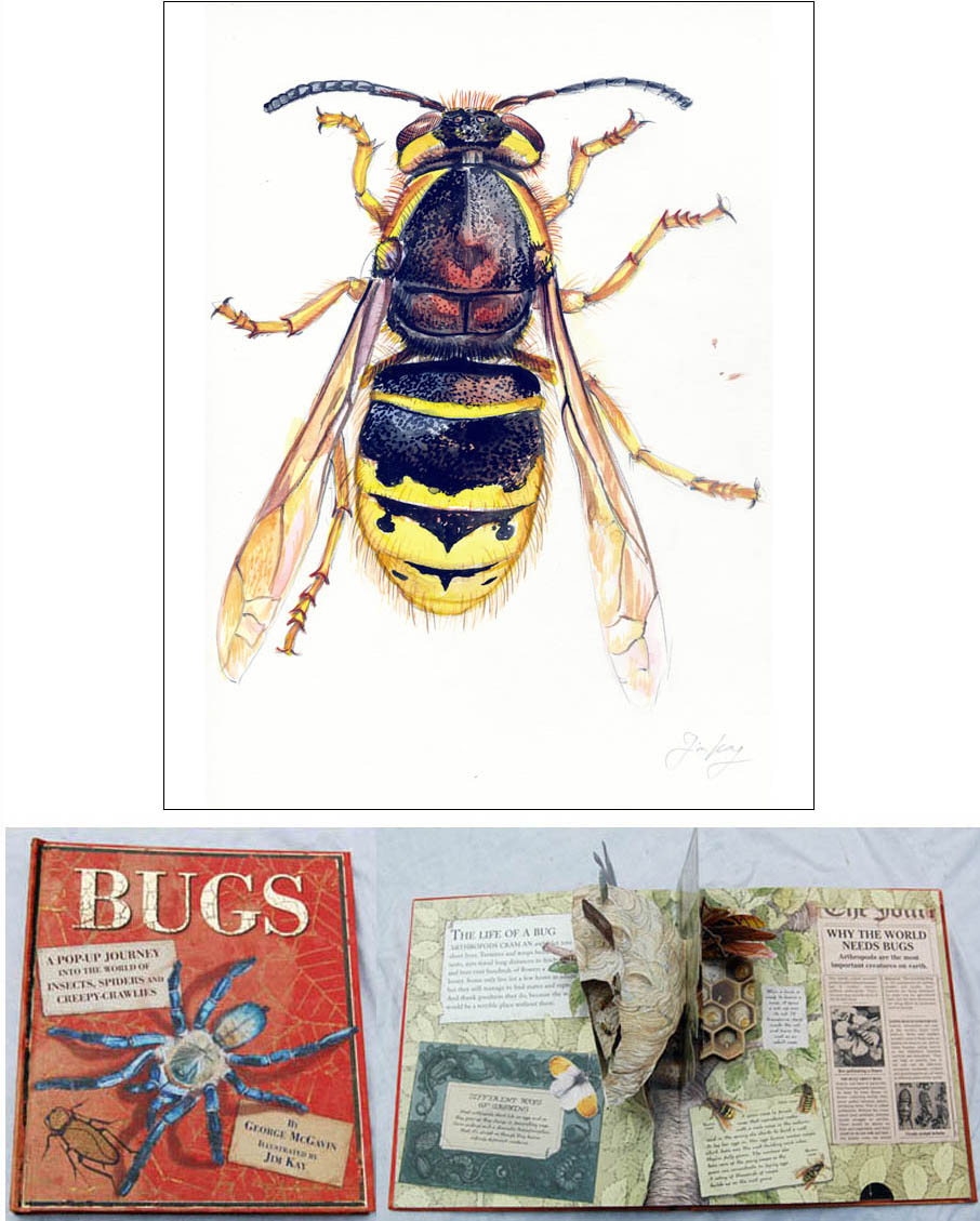 Jim Kay | Bugs: Queen wasp