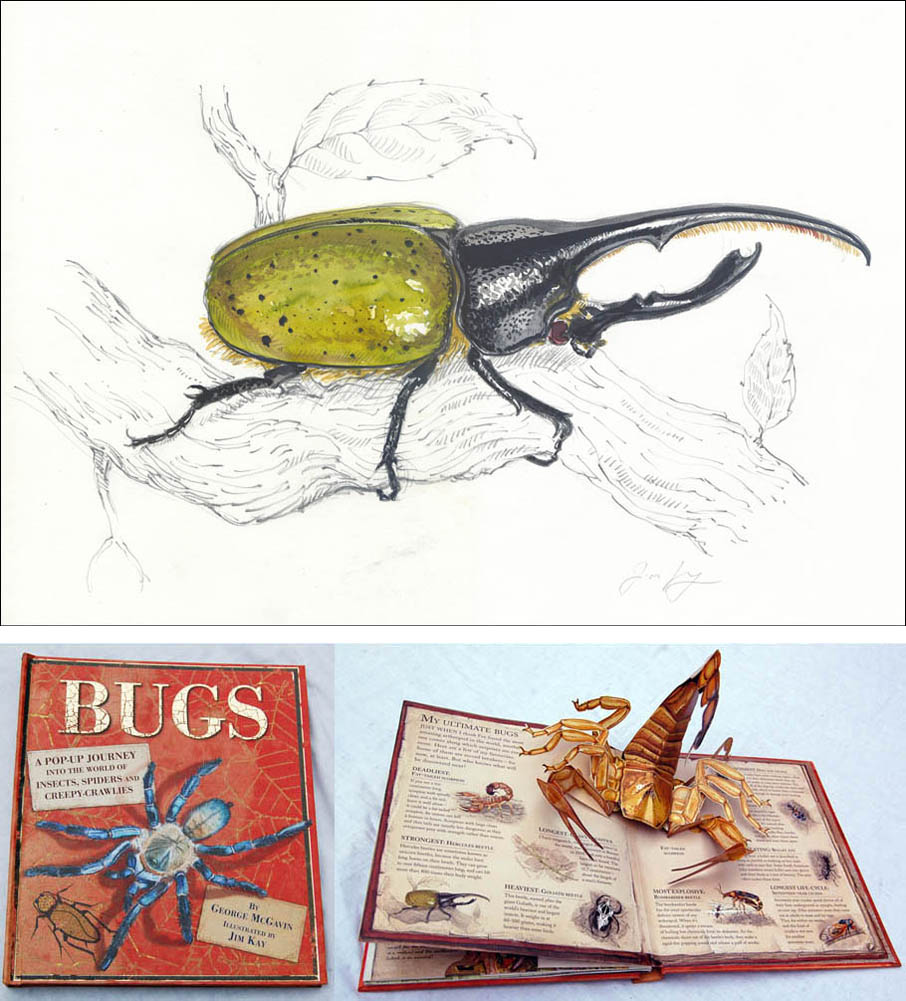 Jim Kay | Bugs: Hercules beetle