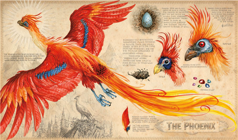 Jim Kay | The Phoenix