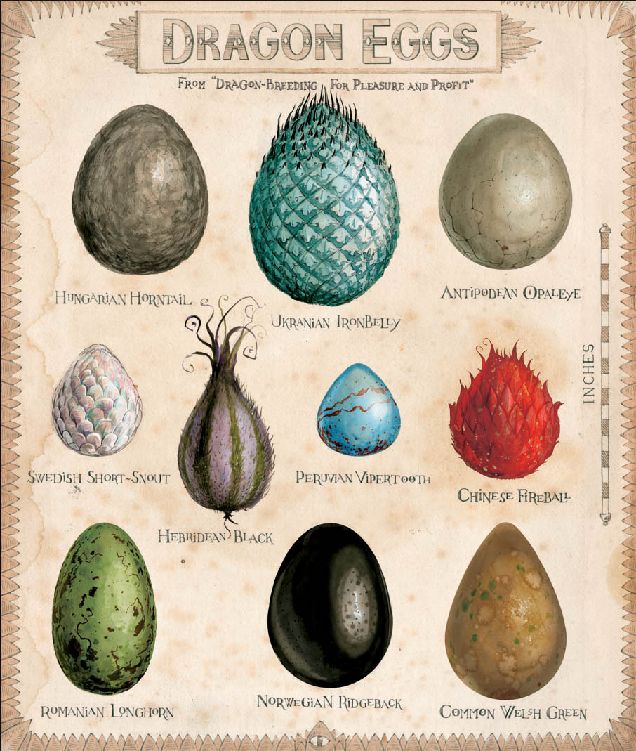 Jim Kay | Dragon eggs