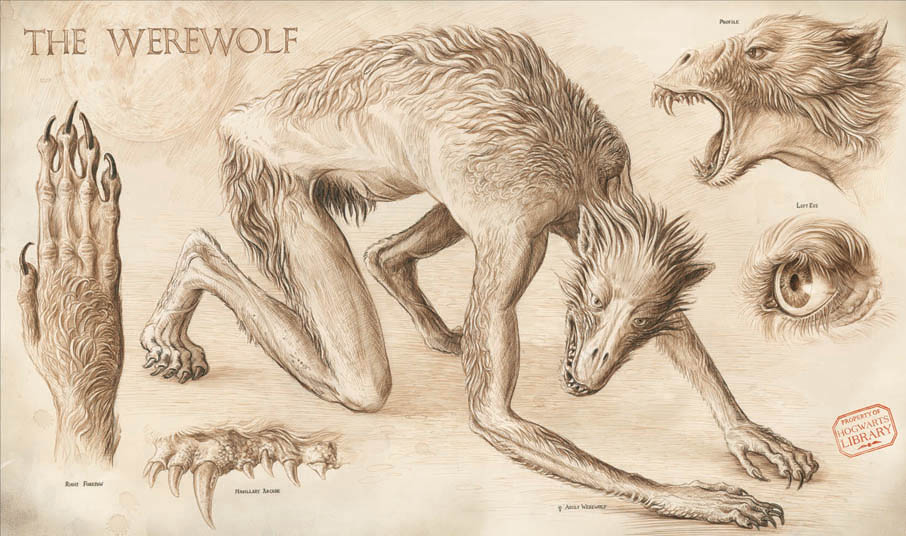 Jim Kay | The Werewolf