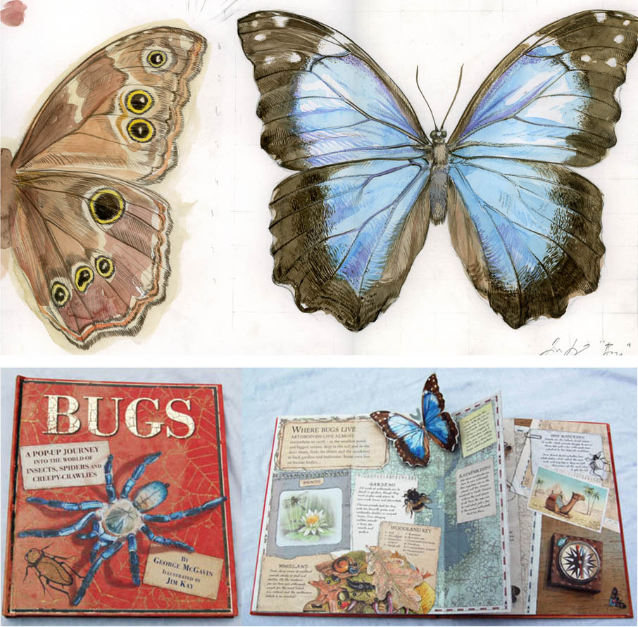 Jim Kay | Bugs: Blue Morpho Butterfly