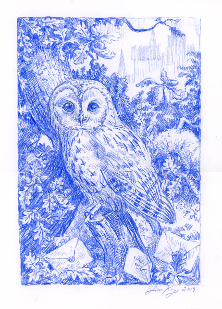 Jim Kay | The Blue Owl