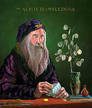 Jim Kay | Albus Dumbledore
