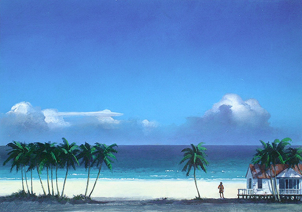 John Harris | Brazzaville Beach