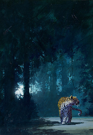 John Harris | The Leopard Hunts in Darkness