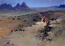 John Harris | In Ethiopia with a Mule