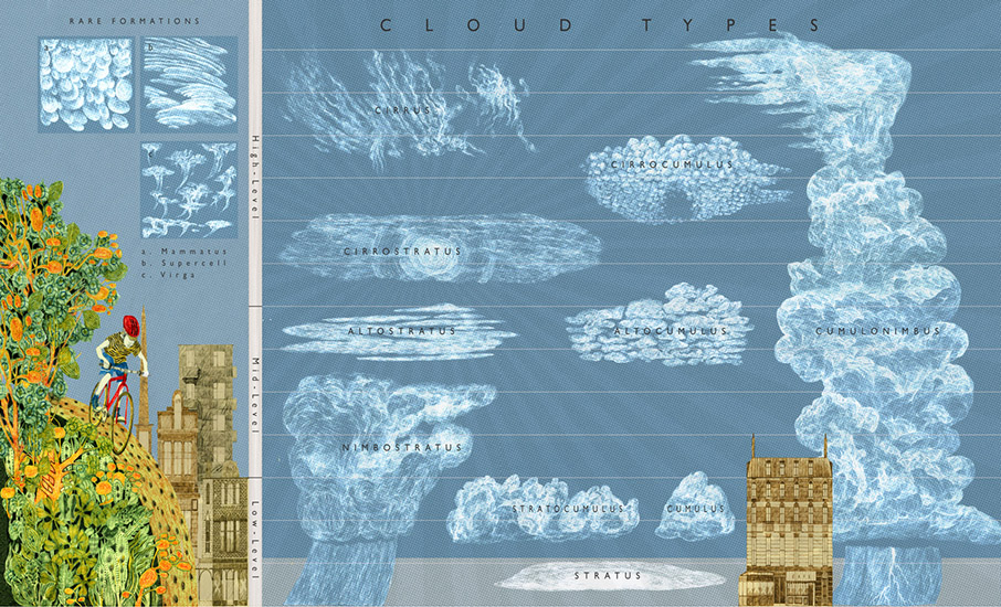 Neil Packer | Cloud Types