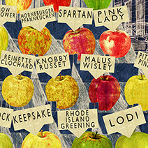 Neil Packer | One of a Kind: Apples