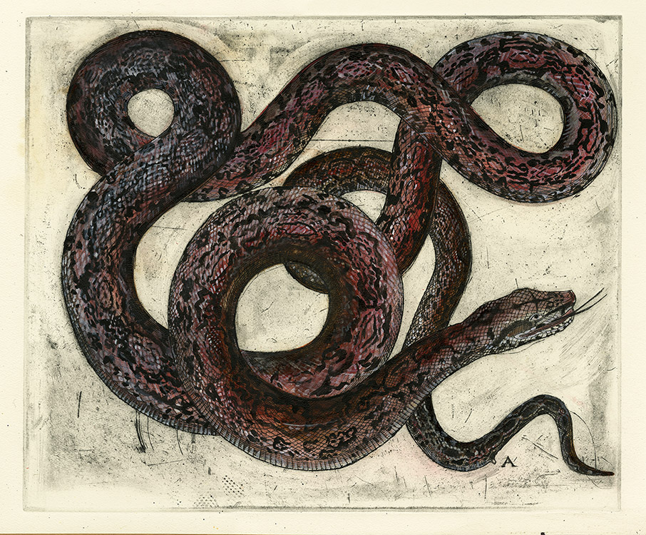 Olivia Lomenech Gill | Camouflage Snake