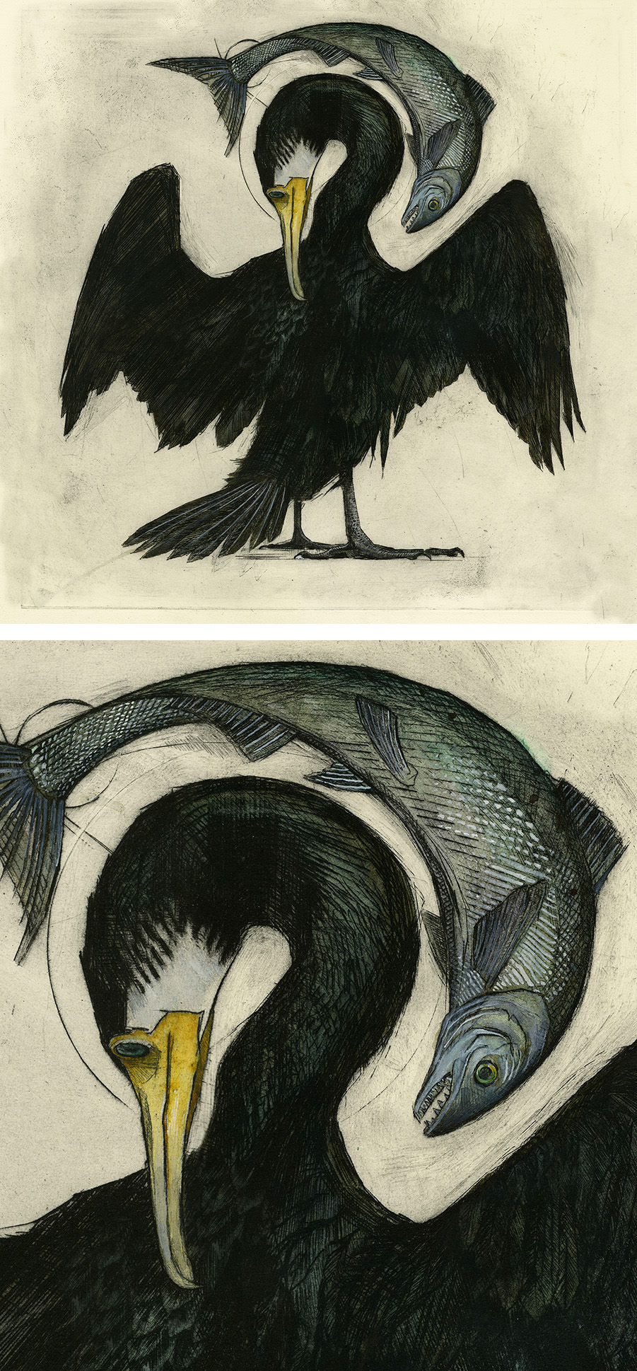 Olivia Lomenech Gill | Cormorant 