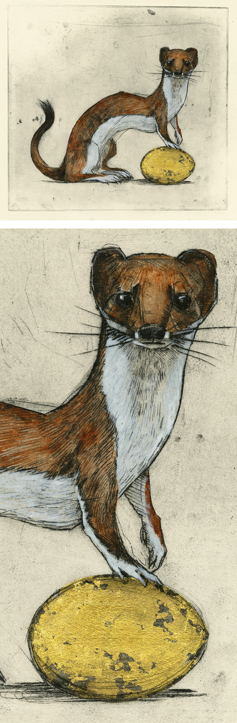 Olivia Lomenech Gill | Stoat