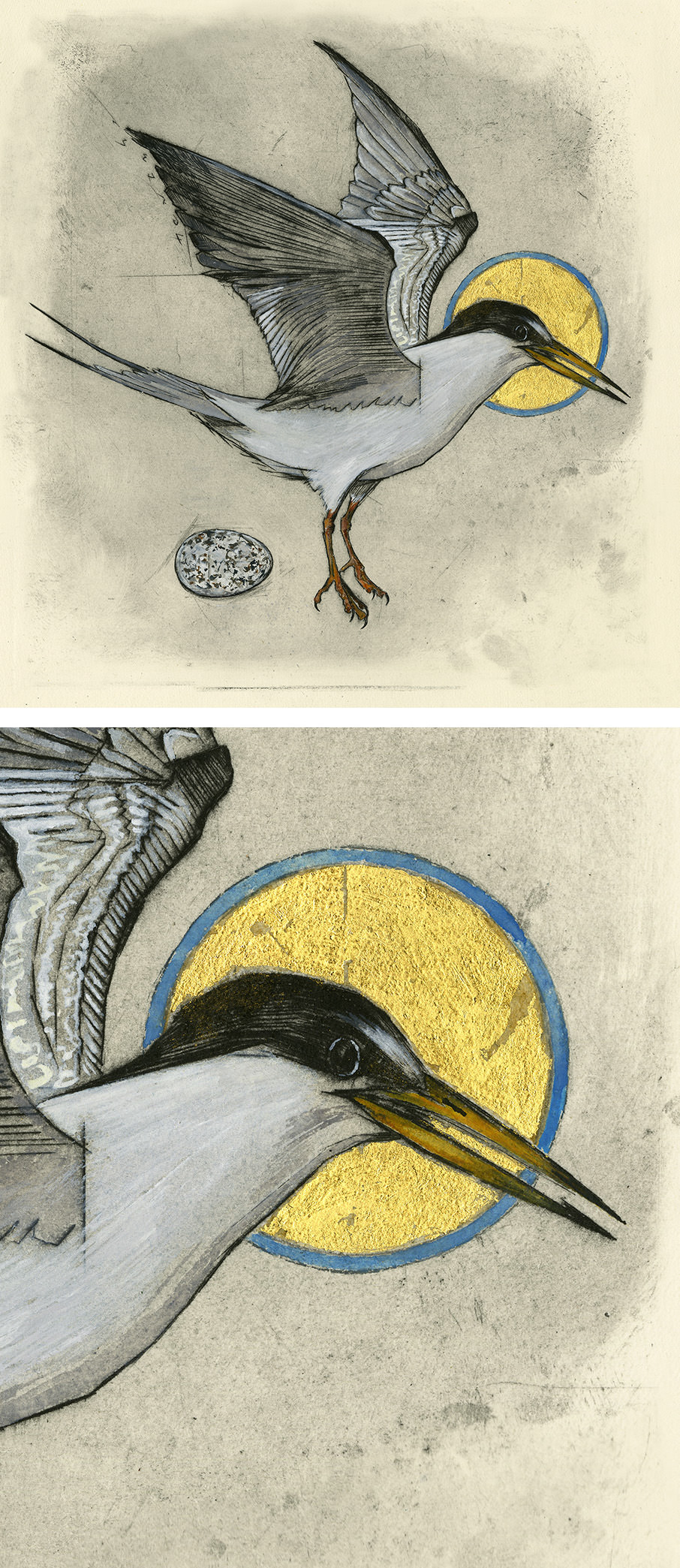 Olivia Lomenech Gill | Little Tern