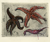 Olivia Lomenech Gill | Starfish and prawn