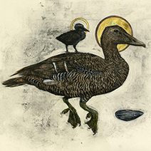 Olivia Lomenech Gill | Eider Duck