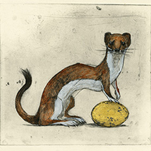 Olivia Lomenech Gill | Stoat