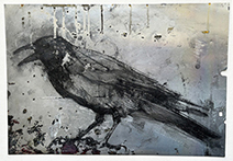 Olivia Lomenech Gill | Crow 1