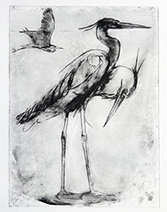 Olivia Lomenech Gill | Heron